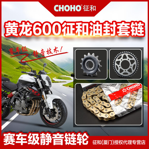 适用贝纳利黄龙BJ600 黄巡600 静音链盘齿轮征和正品油封链条配件