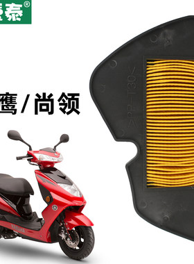 雅马哈踏板摩托车迅鹰尚领ZY125T-5-4-6-8空气格滤芯滤清器空滤器