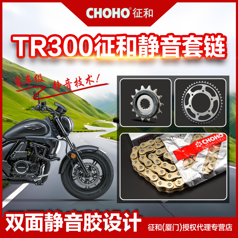 适用豪爵TR DR XCR300静音链盘齿轮链轮征和原厂正品油封链条套链