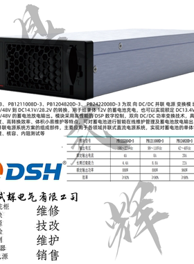 PB1222004D-3 PB1211008D-3 并联电源模块 220V4A 110V8A 高功率