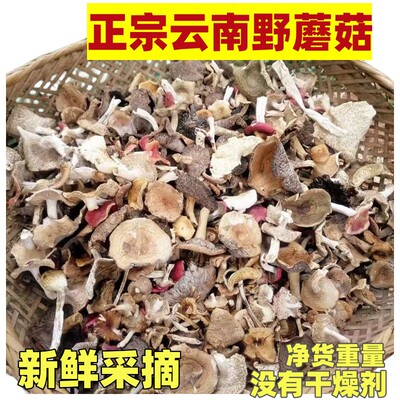 今年新货纯野生蘑菇杂菌子干货农家特产新鲜煲汤原生态蘑菇农家