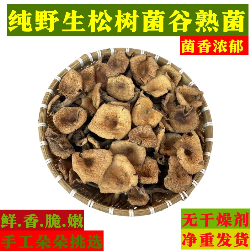 纯野生松树菌干货农野生蘑菇三九菇寒菌谷熟菌重阳菌净货无干燥剂
