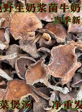 云南纯野生奶浆菌干货蘑菇农家土特产牛奶菌鲍汁菌煲汤食材