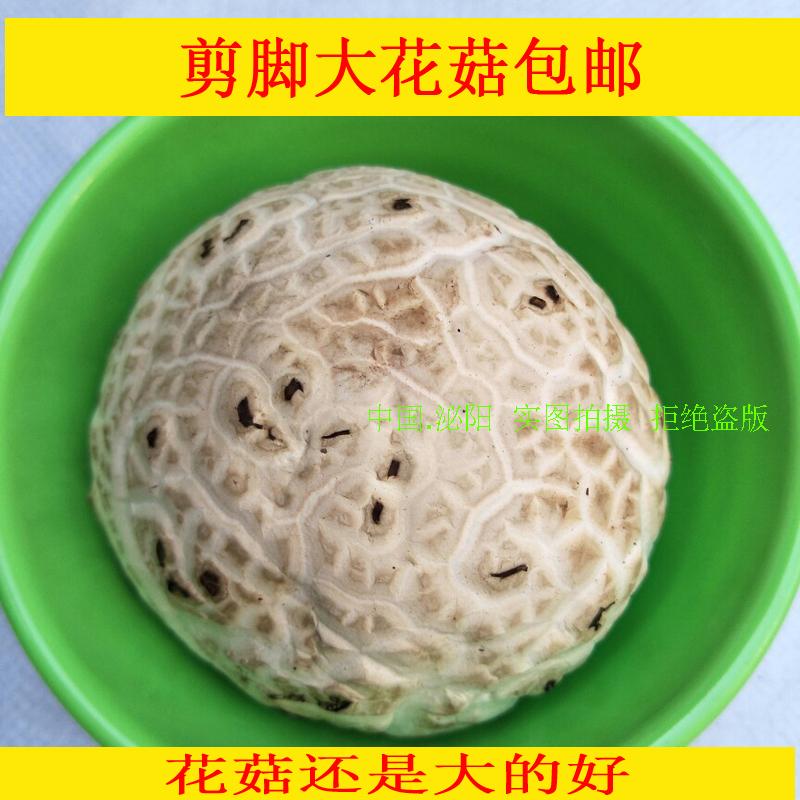 新货大花菇剪脚泌阳干货农家特产大白花菇蘑菇500G包邮菇菌类煲汤