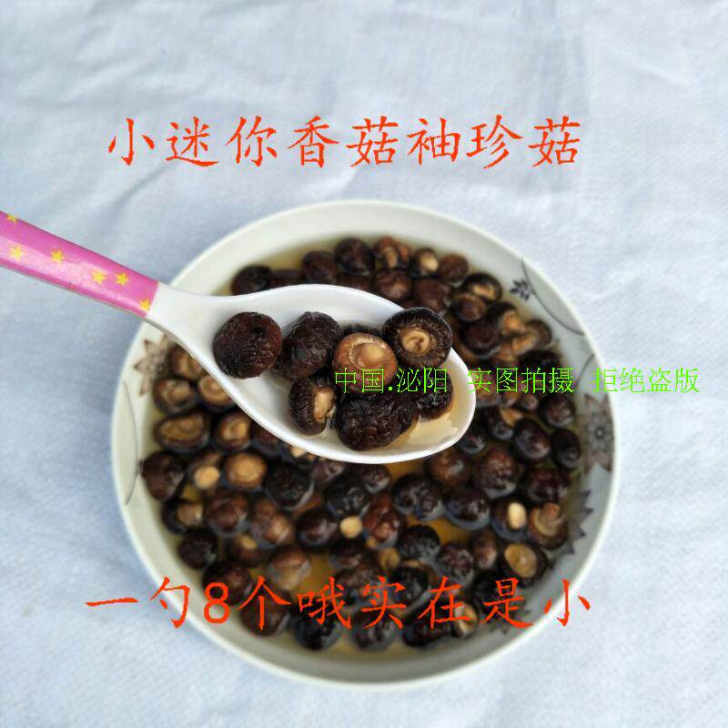 新货农家剪脚小香菇适合煲汤春栽小香菇500g包邮小迷你袖珍小香菇
