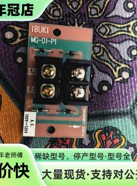 议价IBUKI MG-01-P1电磁阀模块可维修翻新