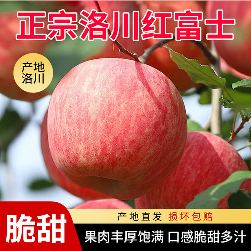 洛川红富士苹果水果新鲜当季陕西脆甜冰糖心