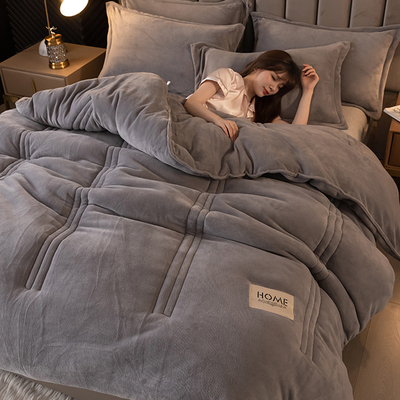 冬季保暖加厚10斤牛奶绒冬被