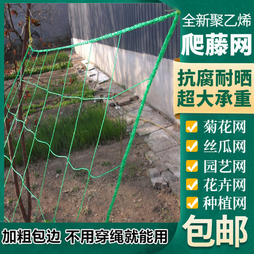 爬藤网种植蔬菜网格花架藤蔓网