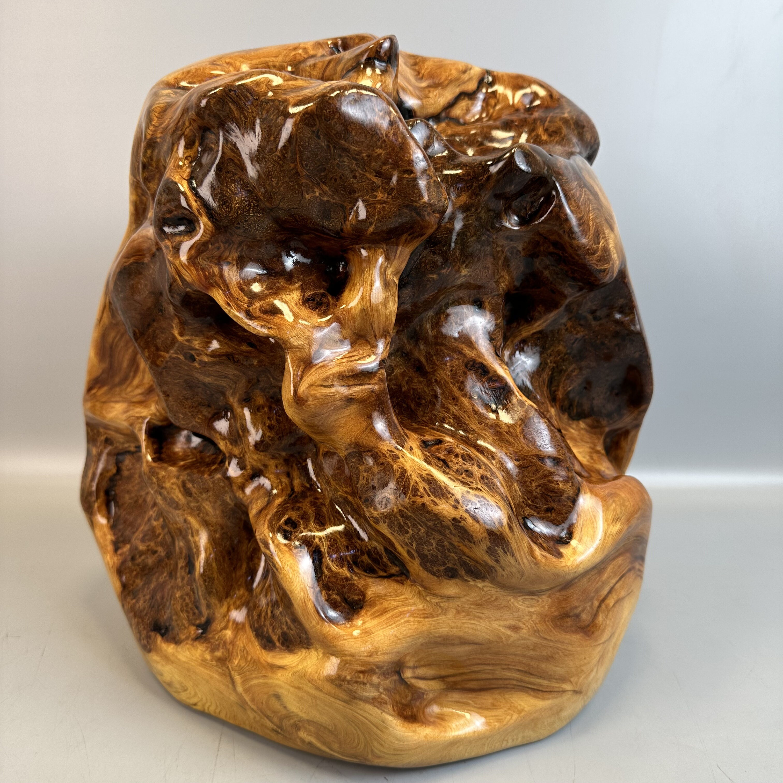 财富山玄关太行崖柏玉化黑油黑骨料蚂蚁腿爆满雪花瘤随形独瘤摆件