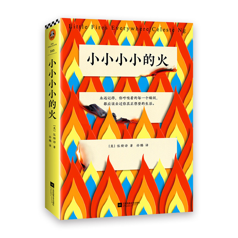 小小小小的火 伍绮诗著作新书无声的告白 遍地小火苗青春小说 岛上