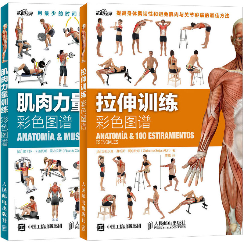 肌肉力量拉伸训练彩色图谱 科学运动健身套装2册男练肌肉体育书籍 健美肌肉训练书 女无器械健身教程大全 四周练出肌肉畅销书