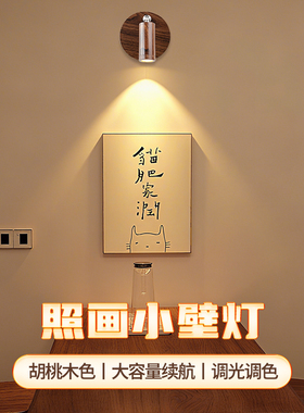 led充电壁灯免布线餐桌茶室氛围射灯卧室客厅玄关感应装饰照画灯