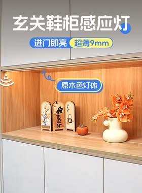 玄关鞋柜进门感应灯展示柜餐边柜子灯带免插电led充电式磁吸灯条