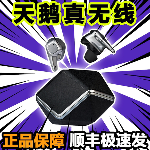 HIFIMAN海菲曼Svanar Wireless大天鹅降噪真无线蓝牙耳机中鹅小鹅
