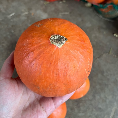 迷你红皮小南瓜新鲜低糖南瓜小个小金瓜万圣节装饰南瓜盅5斤包邮