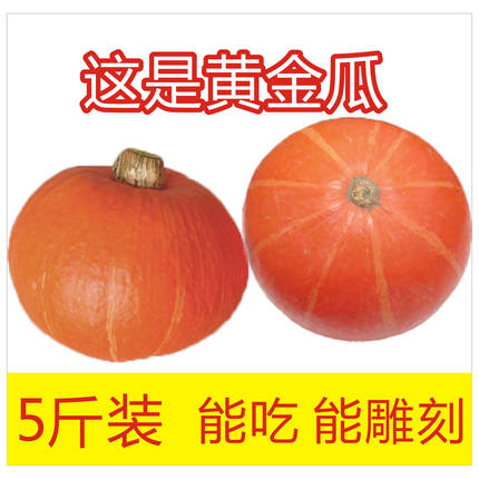 红皮南瓜新鲜黄金瓜老倭瓜低糖轻食南瓜万圣节雕刻手工南瓜