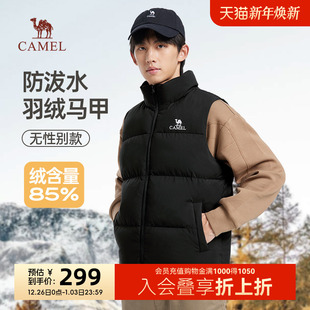 立领防泼水内搭保暖背心外套男 2025新款 骆驼男装 羽绒服马甲男冬季