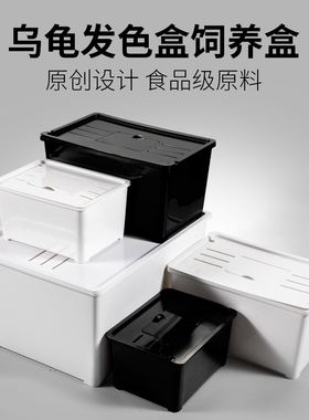 乌龟发色盒活体剃刀西非果核红面窄桥龟饲养盒龟苗发色隔离孵化盒