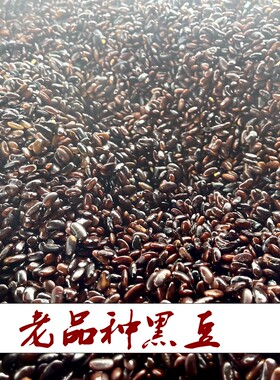 老品种小黑豆 （帮忙三蒸三晒好）