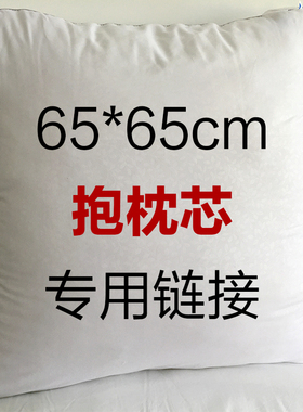 靠垫抱枕芯65*65cm单只芯PP棉高弹力垫床头靠背大号抱枕