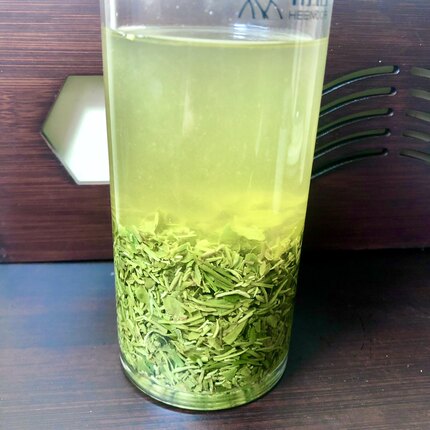 信阳毛尖碎茶口粮茶明前雨前2026新茶毛尖大山叶茶500g