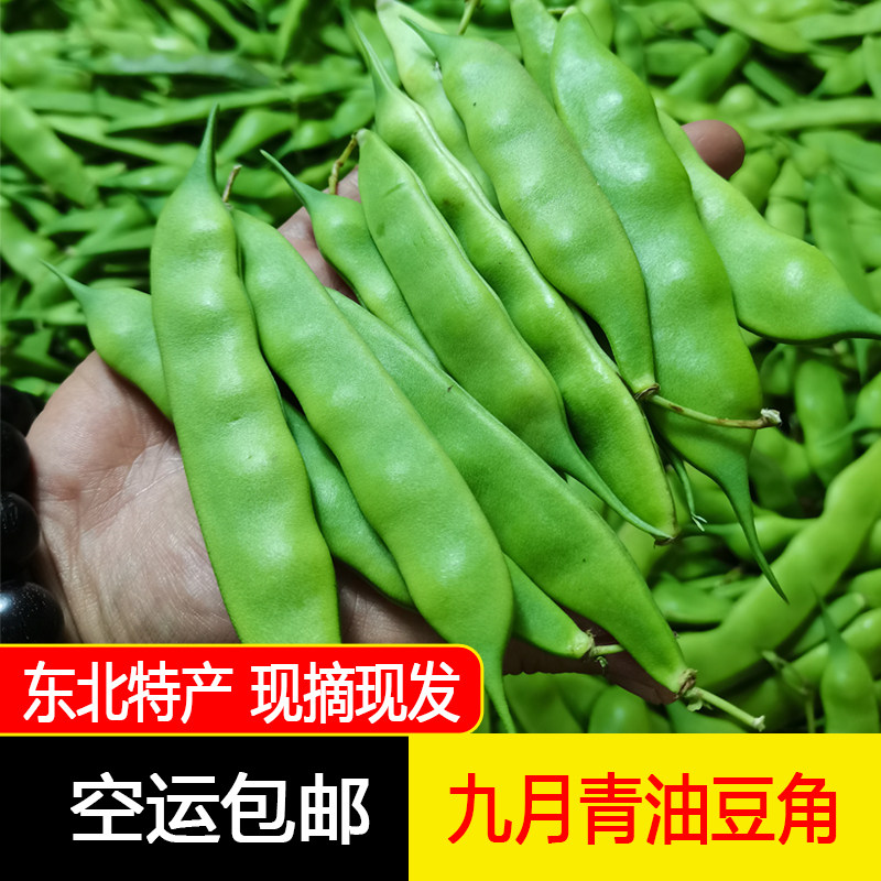 东北特产新鲜油豆角九月青农家图片