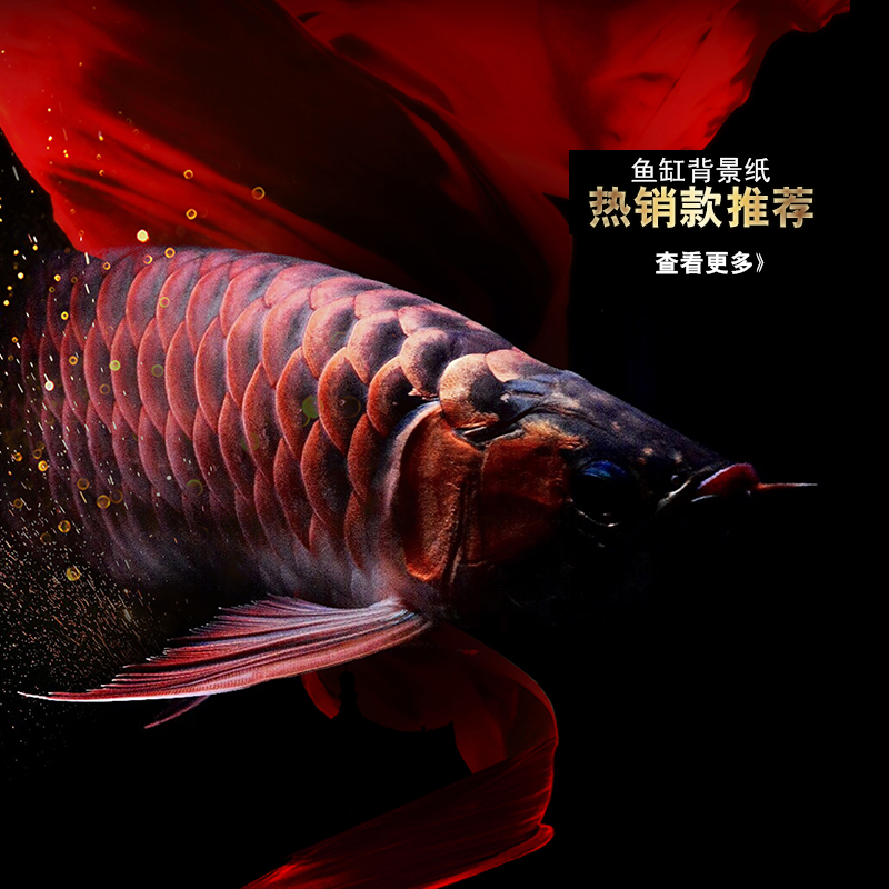 鱼缸背景纸画高清图3d立体壁纸造景水族箱贴纸自粘防水壁画装饰板图片