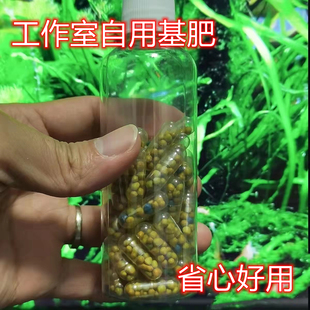 水草基肥底肥鱼缸缓释肥料固体长效颗粒肥陶粒砂水草泥能源沙根