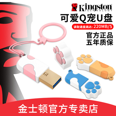 金士顿USB3.2gen1卡通U盘512GB