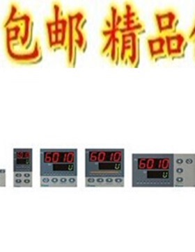 YUDIAN 宇电仪表 AI-518PAGL0S程序型人工智能 可调温控器/调节器