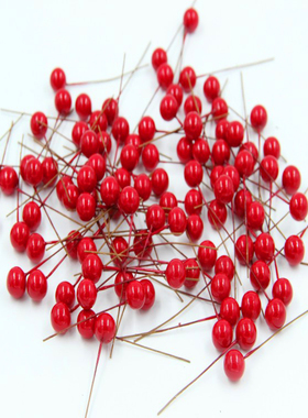 圣诞树花环藤圈DIY花束配件仿真金色尤加利叶红色单头发财果材料