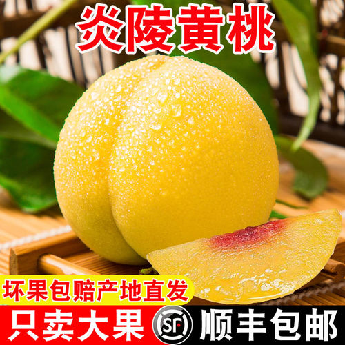 炎陵黄桃桃子10斤湖南顺丰包邮