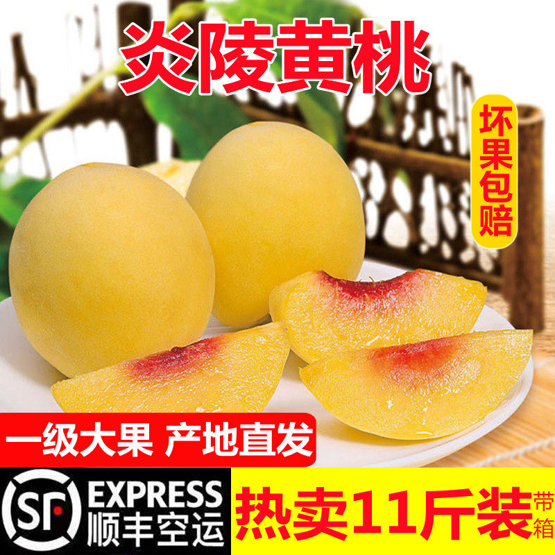 正宗炎陵黄桃整箱新鲜水果湖南特产现摘现发当季令应季桃子送礼
