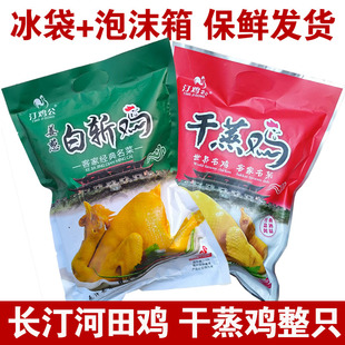 汀鸡公长汀干蒸鸡1500g整只盐酒白斩河田鸡福建龙岩特产客家汀州