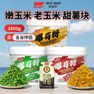 西部风爆有料桶装钓鱼打窝料