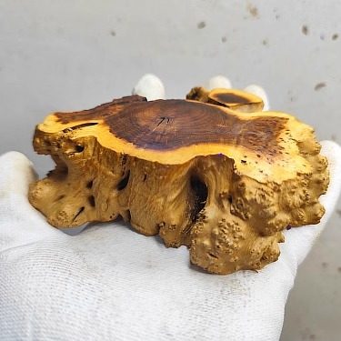 老红木段枯木摆件底座枯木树根雕