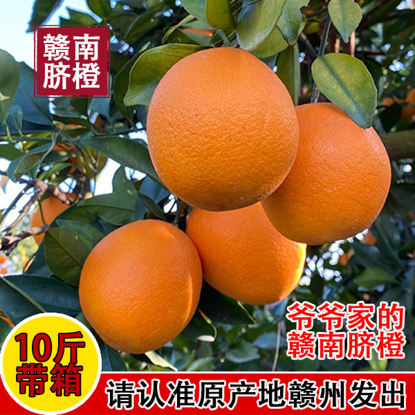 正宗江西赣南脐橙新鲜当季赣州寻乌产地直发带箱10斤,水产肉类/新鲜蔬果/熟食,橙,淘宝优惠券,粉丝福利购,淘宝优惠卷