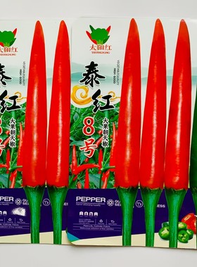 蔬菜瓜果四季辣椒种子大全朝天椒种籽大果尖椒籽种泰红8号大田种