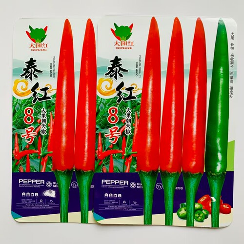 蔬菜瓜果四季辣椒种子大全朝天椒种籽大果尖椒籽种泰红8号大田种