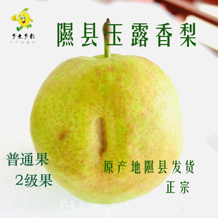 隰县玉露香梨山西特产原产地发货临汾玉露香梨脆甜皮薄天灾果绿皮