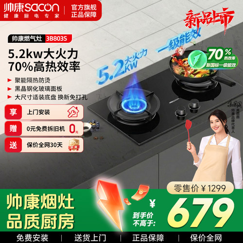 帅康免改孔猛火双灶燃气灶