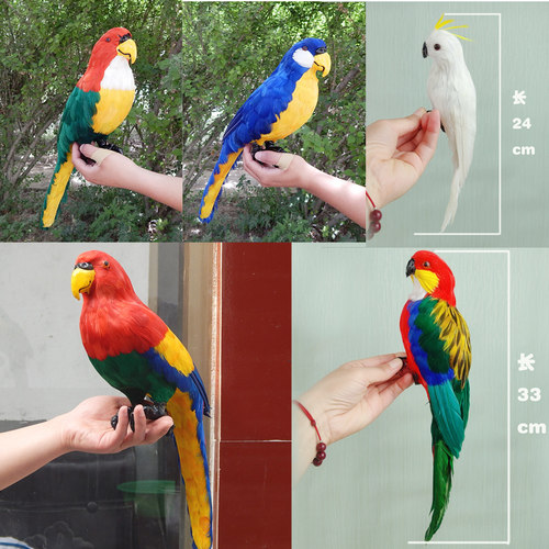 仿真彩色真羽毛鹦鹉模型摆件