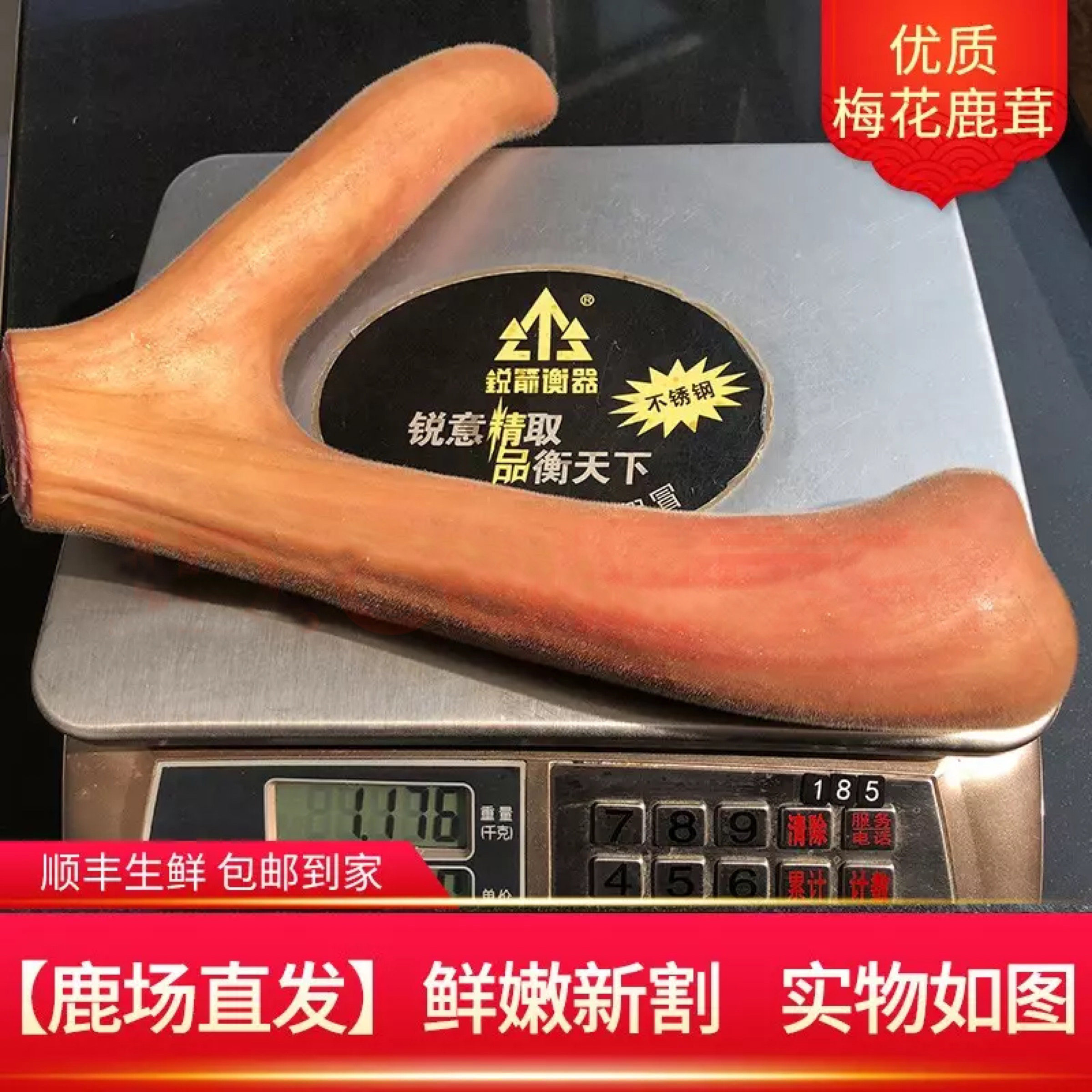 鹿茸整枝梅花鹿新鲜鹿茸吉林鹿场鹿茸片整枝送泡酒料正宗鲜鹿茸