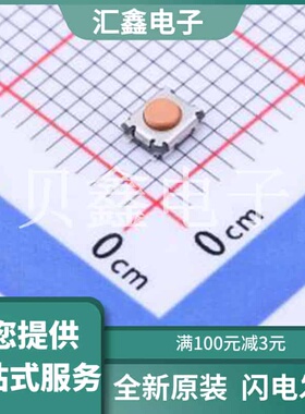 RKCGG140SMTRLFS 原装正品