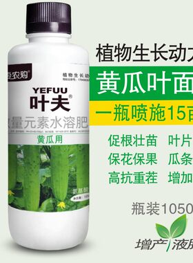 叶夫黄瓜专用叶面肥水溶肥