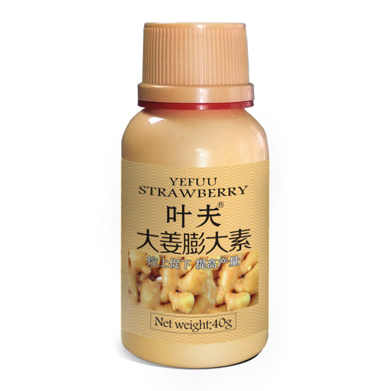 叶夫大姜生姜黄姜专用膨大素膨大新型肥料