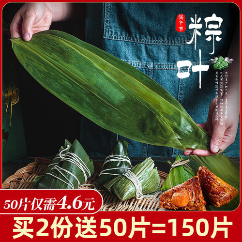 粽叶端午节野生新鲜特大号