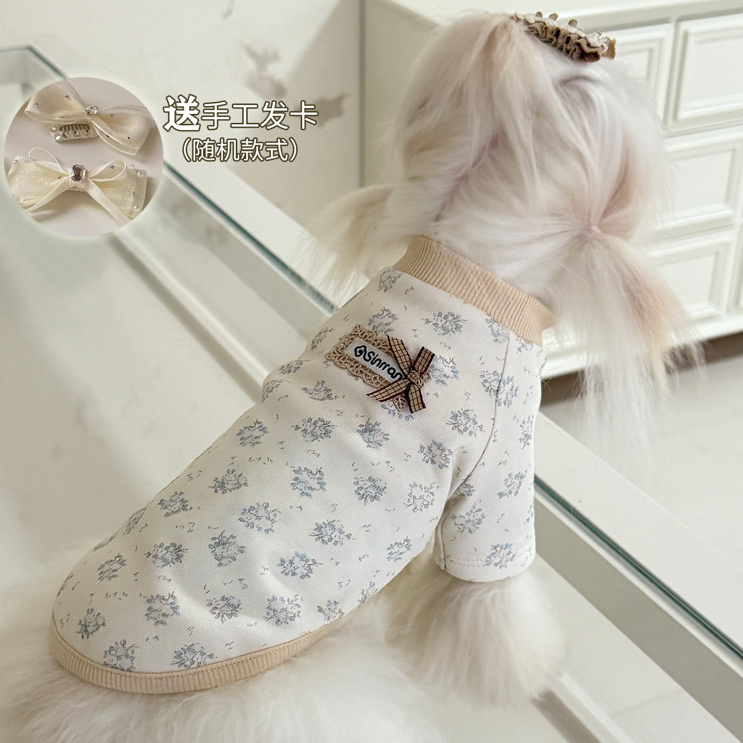 韩国轻奢小型犬宠物衣服全棉弹力漂亮公主裙夏天空调房保暖居家服