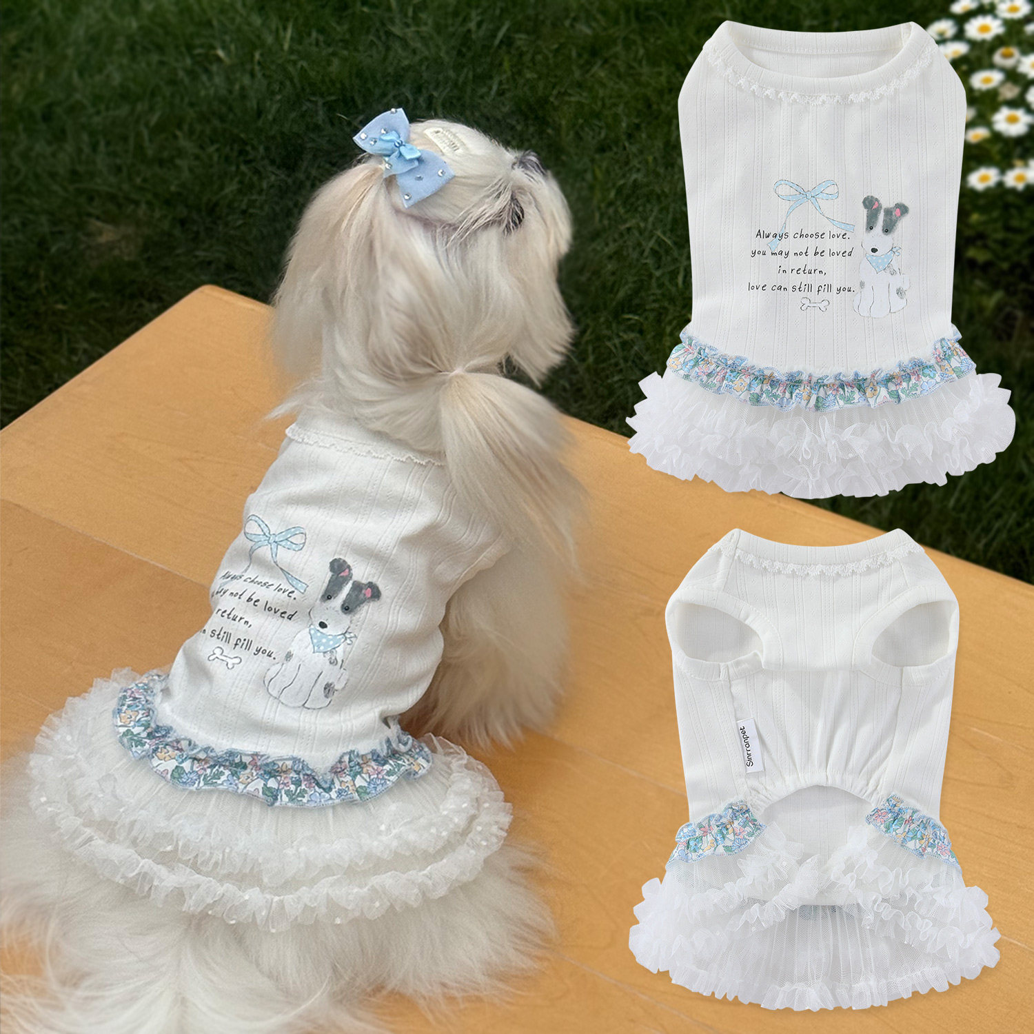 韩系宠物衣服小型犬漂亮连衣裙小狗弹力蓬蓬裙夏季薄款蕾丝打底衫